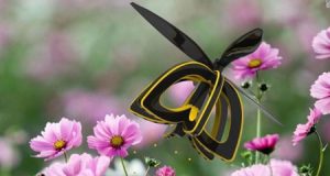 دانشجوی گرجستانی یک پهپاد شبیه به زنبور برای گرده‌افشانی طراحی کرد