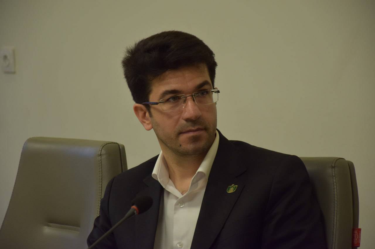 سید حسین هاشم‌ نیا رئیس کمیسیون پایش تصویری سازمان نصر