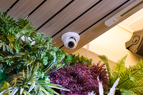 مقایسه دوربین مداربسته دام و بولت