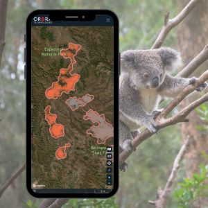 نخستین صورت فلکی ماهوارهای جهان برای پایش آتشسوزی شبانه به فضا پرتاب شد