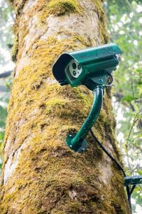 دوربین مداربسته بوستان سرخه‌حصار جهت ارتقا امنیت شهری افزایش یافت