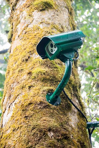 دوربین مداربسته بوستان سرخه‌حصار جهت ارتقا امنیت شهری افزایش یافت